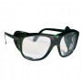 Zaštitne naočale s bočnom zaštitom i prozirnim lećama 317N-T ART.000170